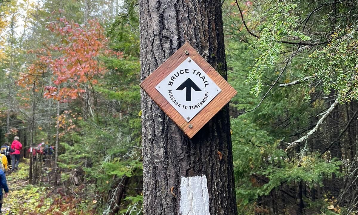 Photo of Outdoor in South Bruce Peninsula