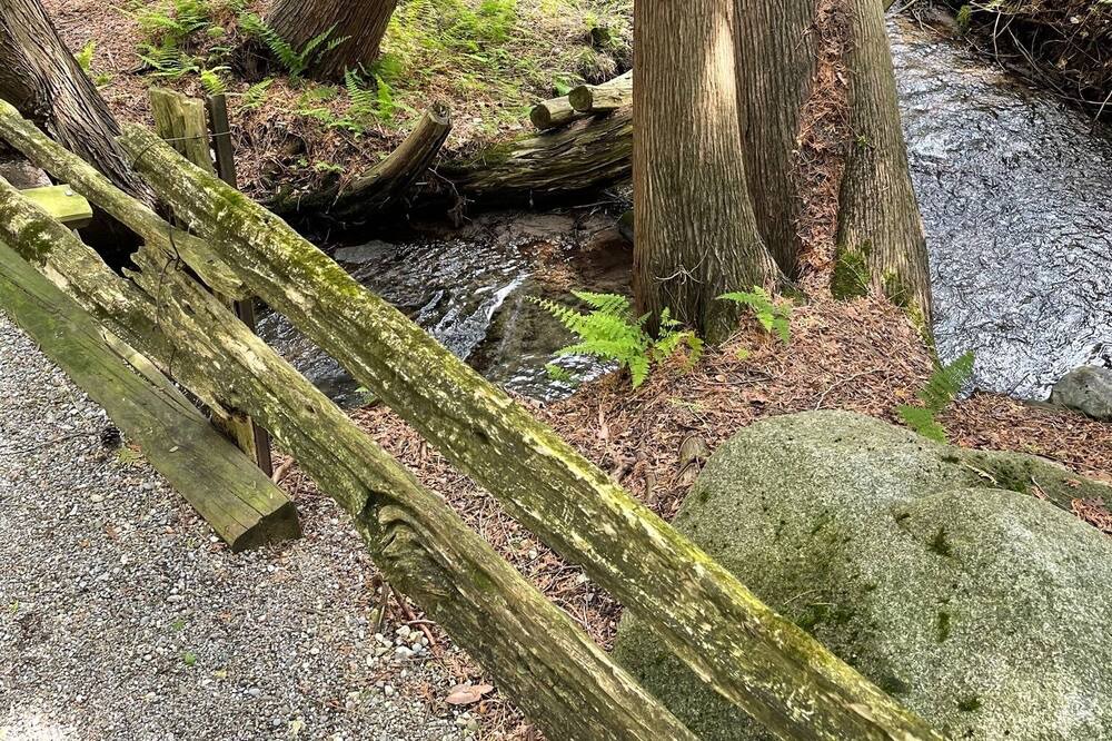 Photo of Outdoor in Caledon