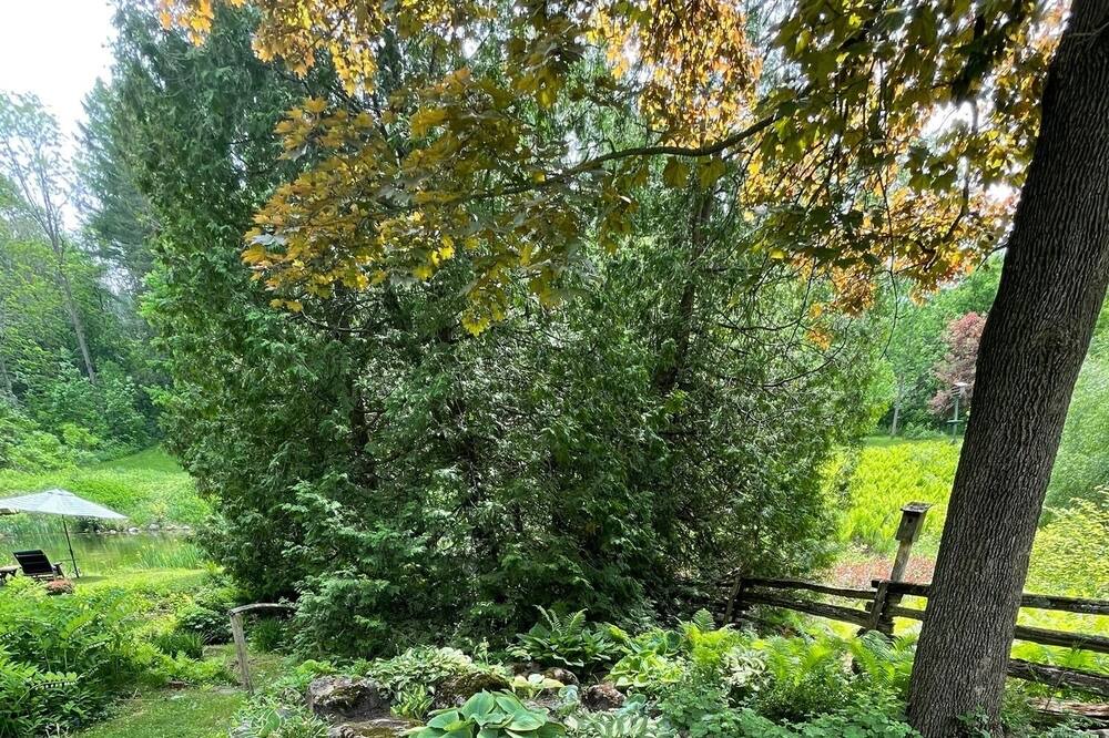 Photo of Outdoor in Caledon