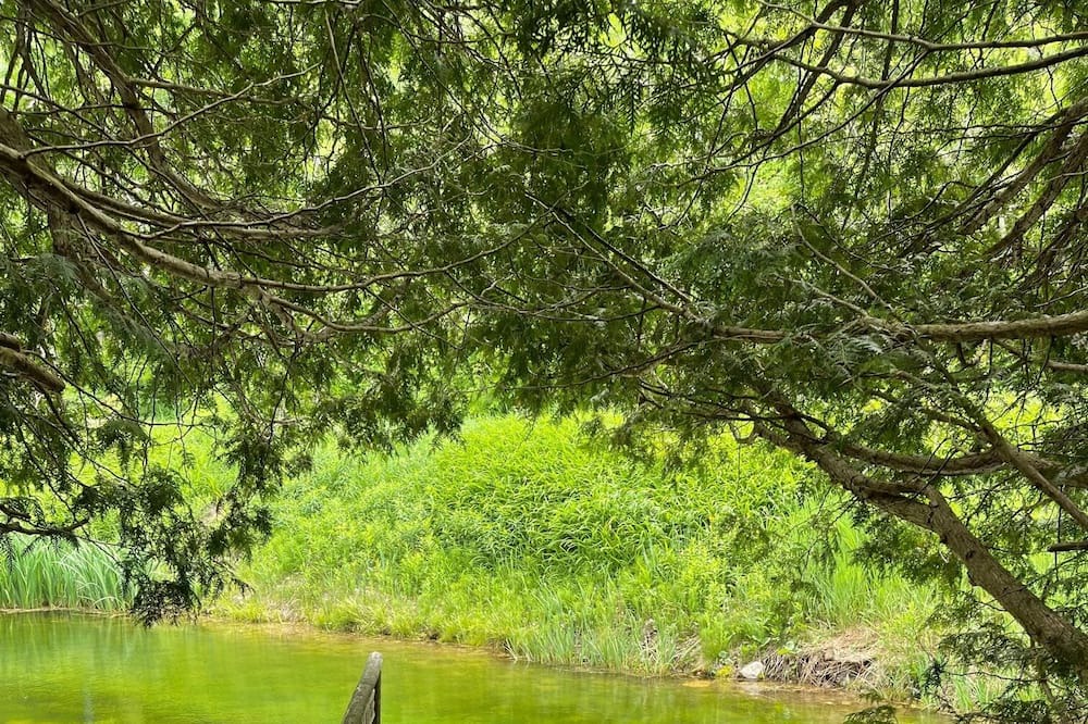Photo of Outdoor in Caledon