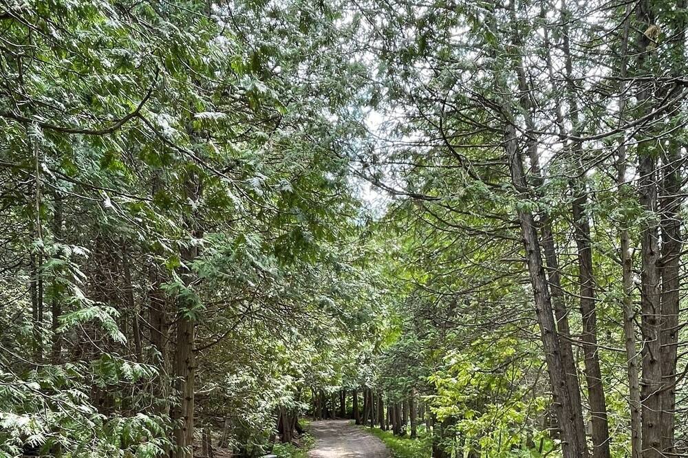 Photo of Outdoor in Caledon