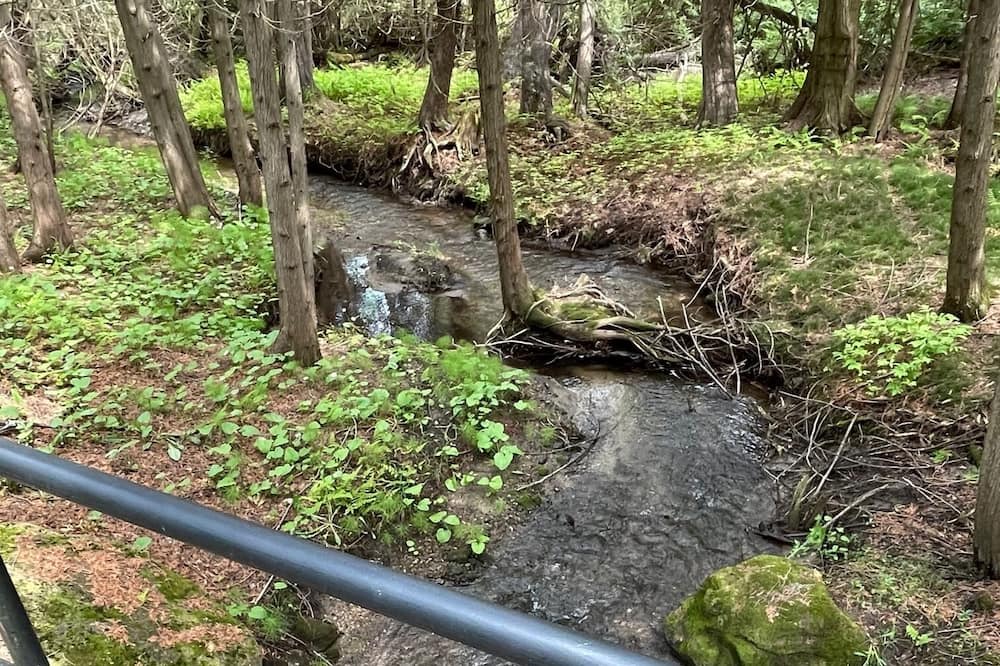 Photo of Outdoor in Caledon