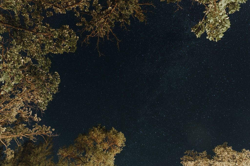 Photo of Others in Battle Lake