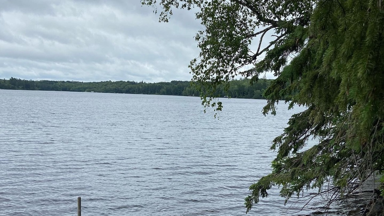 Photo of Others in Moose Lake