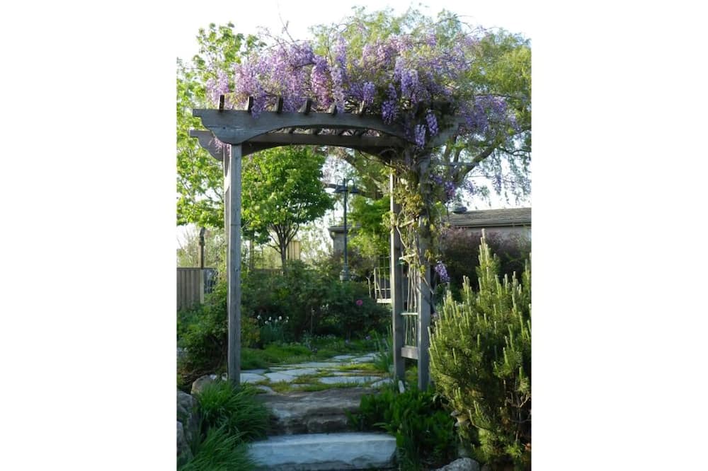 Photo of Outdoor in Grimsby