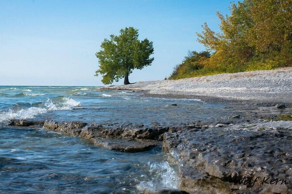 Photo of Others in Milford