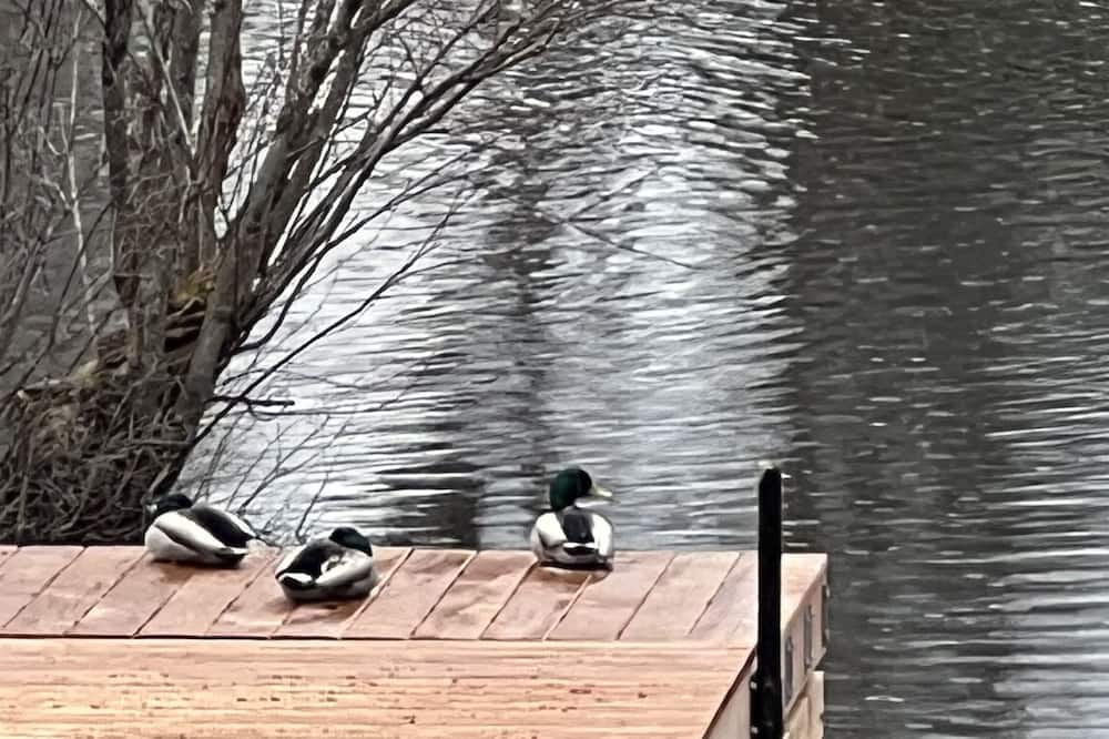 Photo of Others in Magnetawan