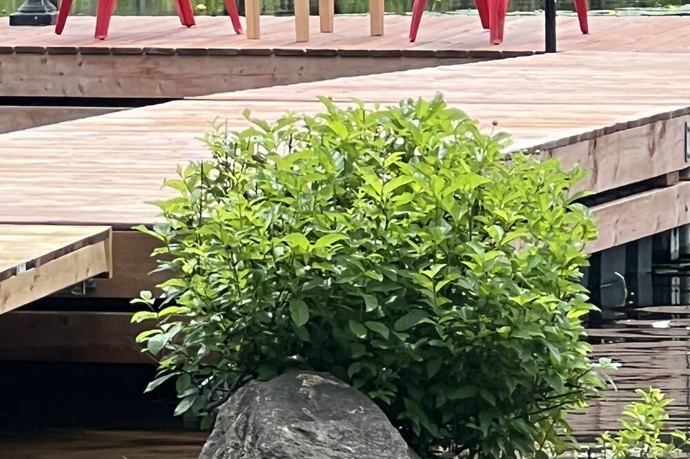 Photo of Outdoor in Magnetawan