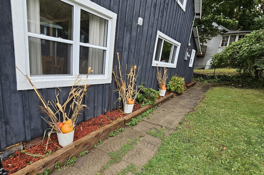 Photo of Outdoor in Dunsford
