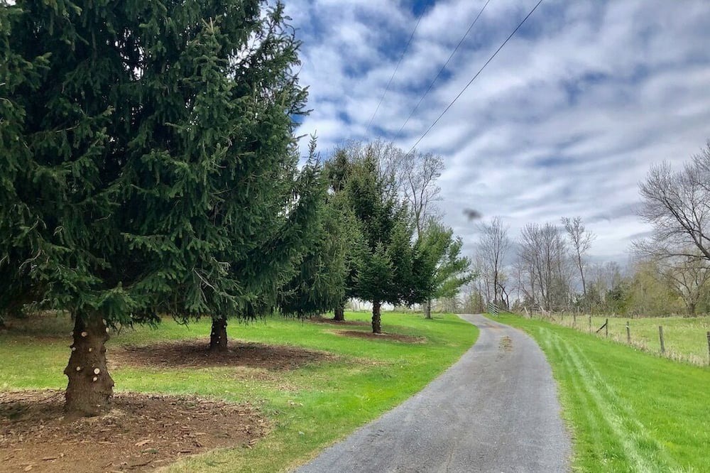 Photo of Outdoor in Tweed