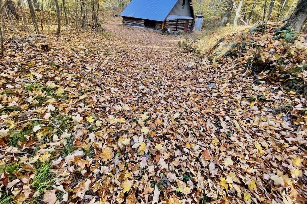 Photo of Outdoor in Tweed