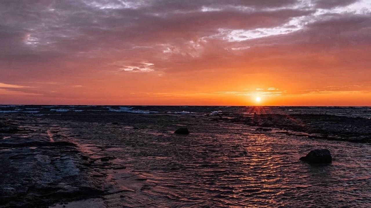 Photo of Others in Northern Bruce Peninsula
