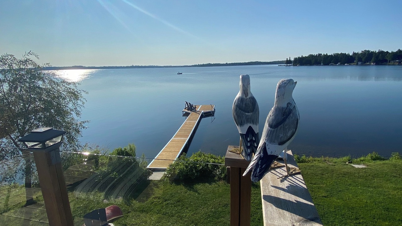 Photo of Outdoor in Kawartha Lakes