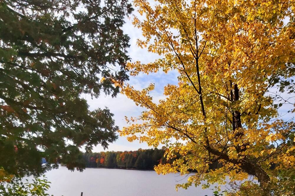 Photo of Outdoor in Magnetawan