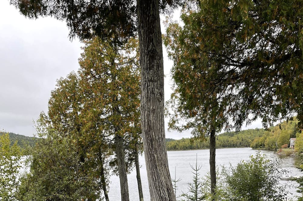 Photo of Outdoor in Schreiber