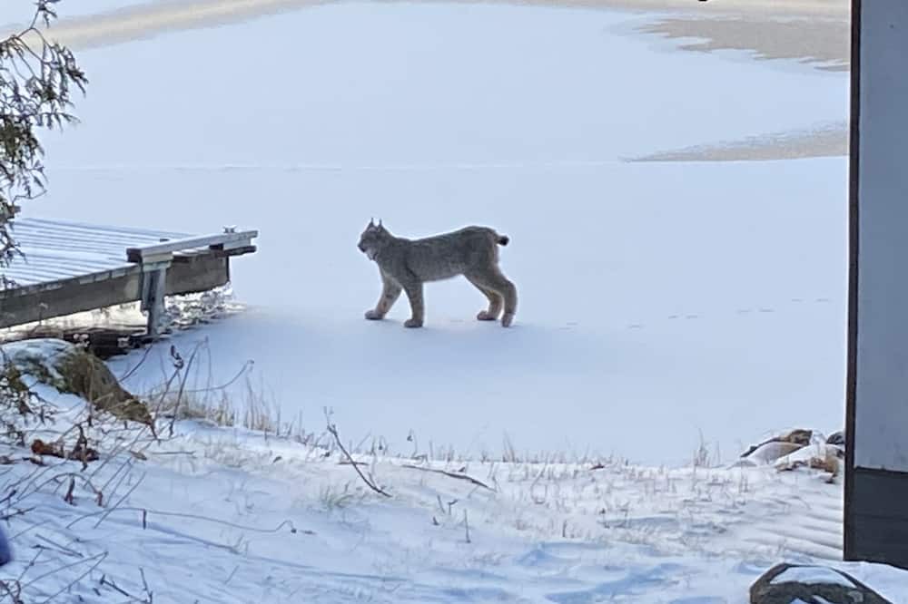 Photo of Outdoor in Schreiber