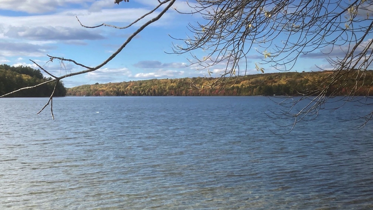 Photo of Others in Algoma District