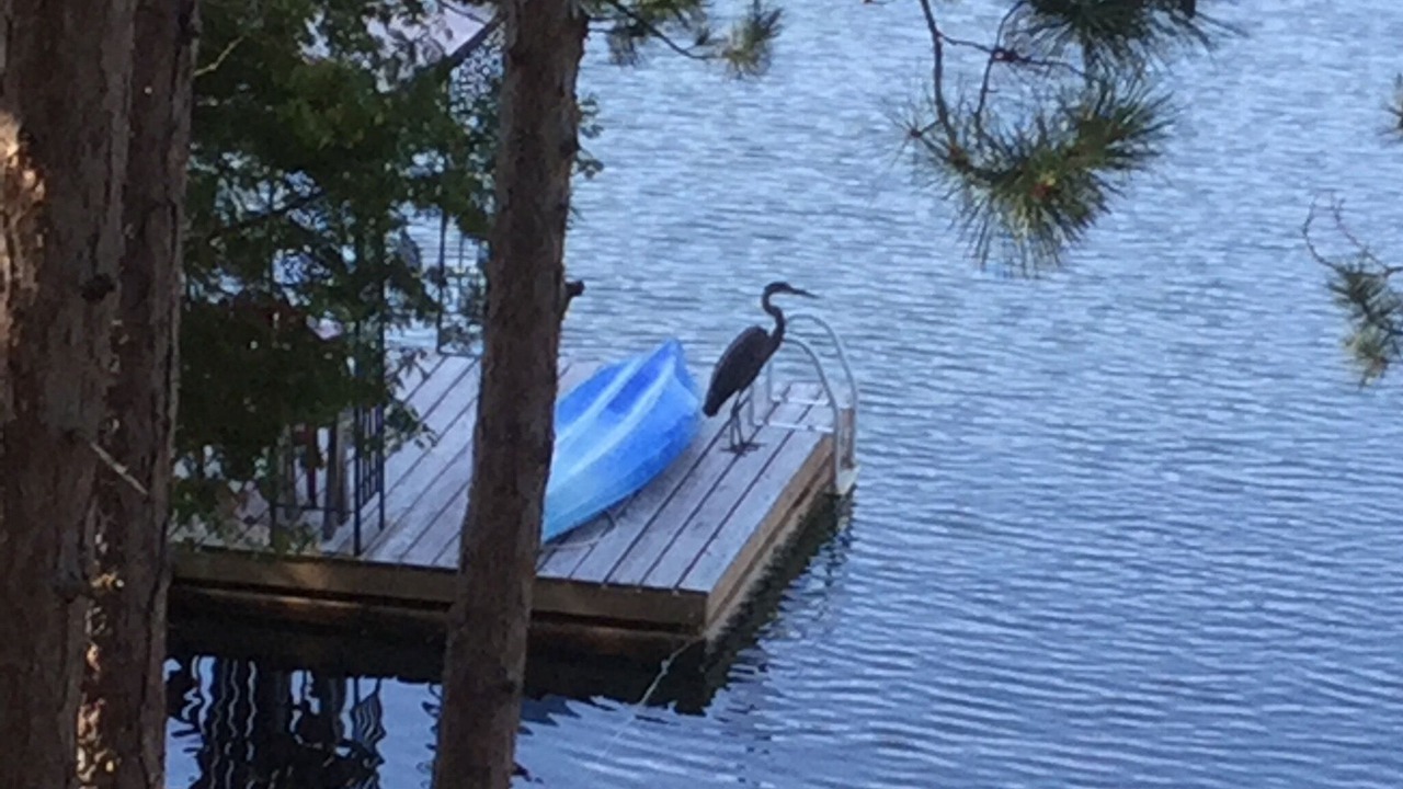 Photo of Others in Trent Lakes