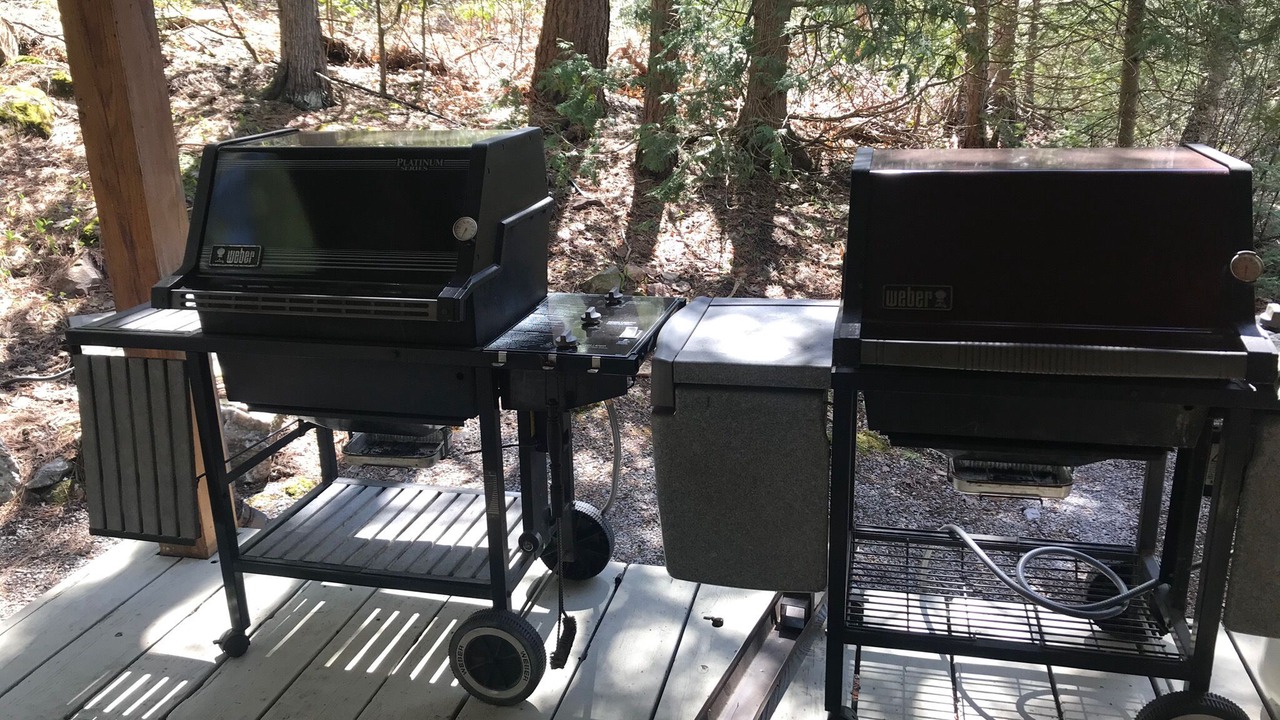 Photo of Outdoor in Trent Lakes