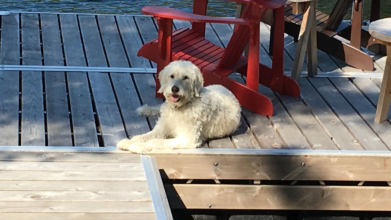 Photo of Outdoor in Trent Lakes