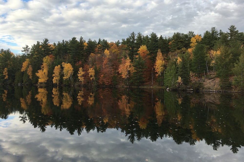 Photo of Outdoor in Greater Madawaska
