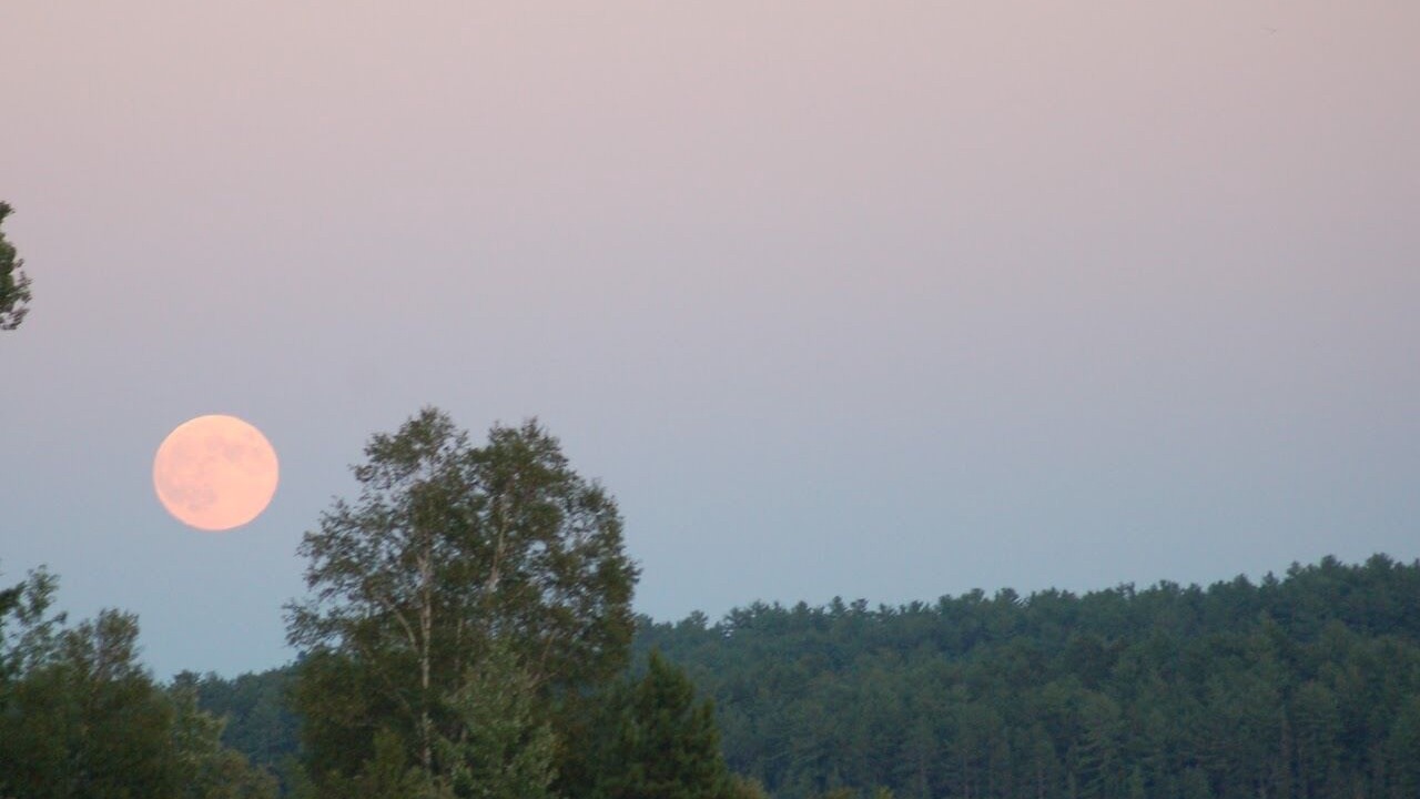 Photo of Outdoor in Bonfield