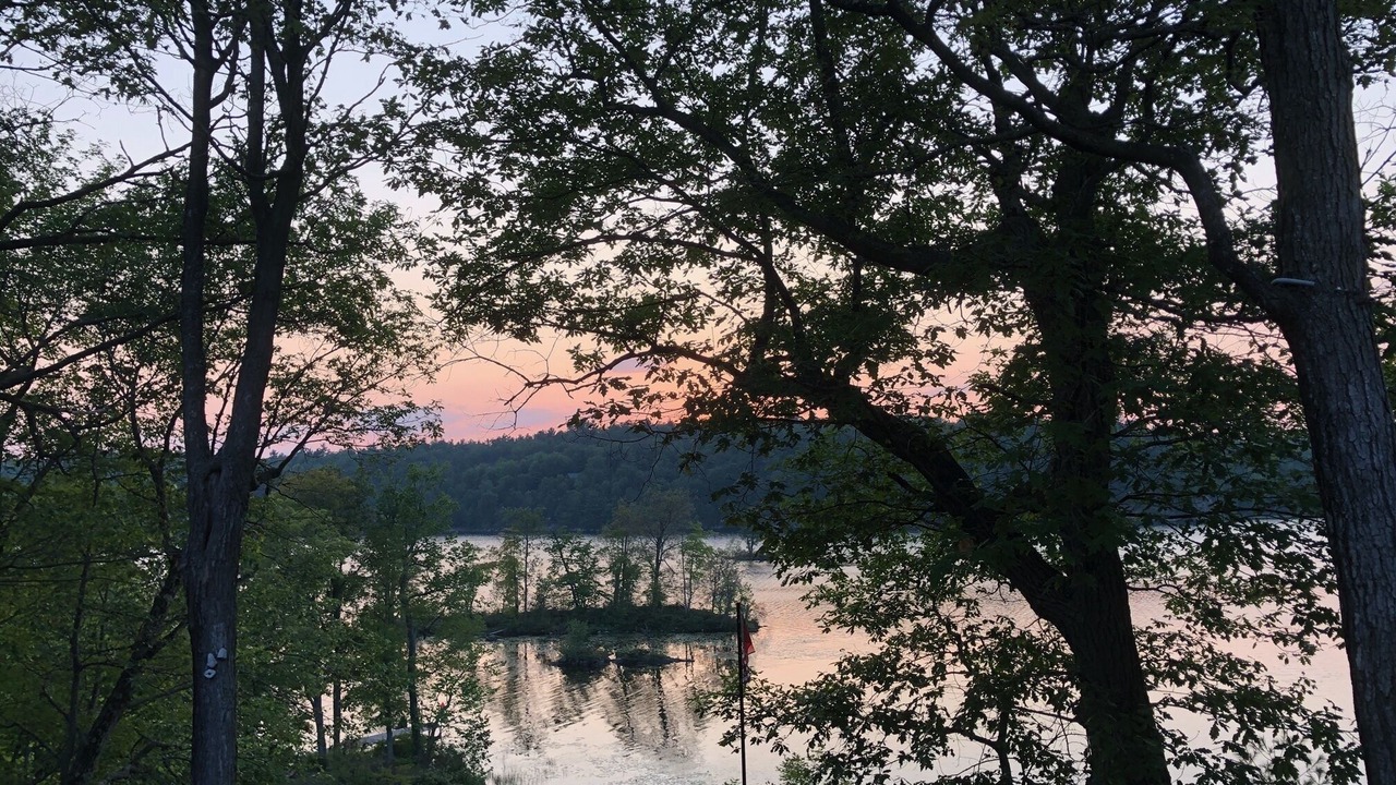 Photo of Others in Jones Falls