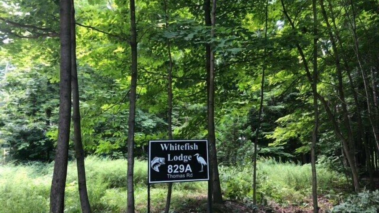 Photo of Outdoor in Jones Falls
