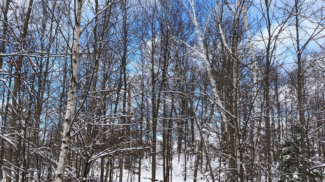 Photo of Others in Jones Falls
