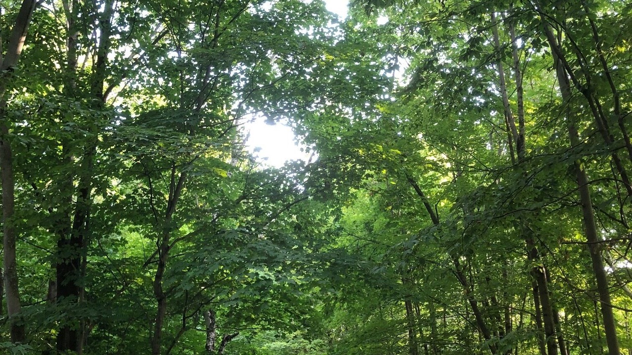 Photo of Others in Jones Falls