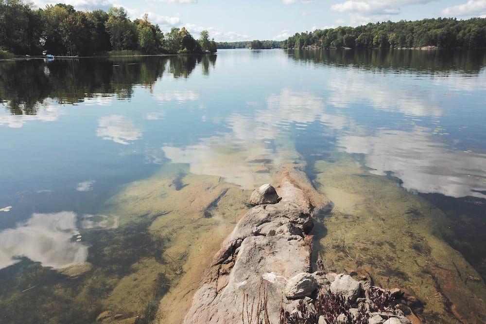Photo of Others in Jones Falls
