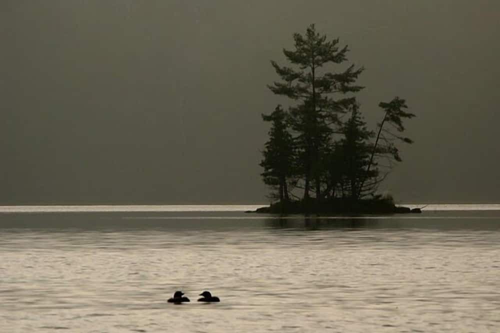 Photo of Others in Rideau Lakes