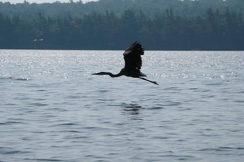 Photo of Others in Rideau Lakes