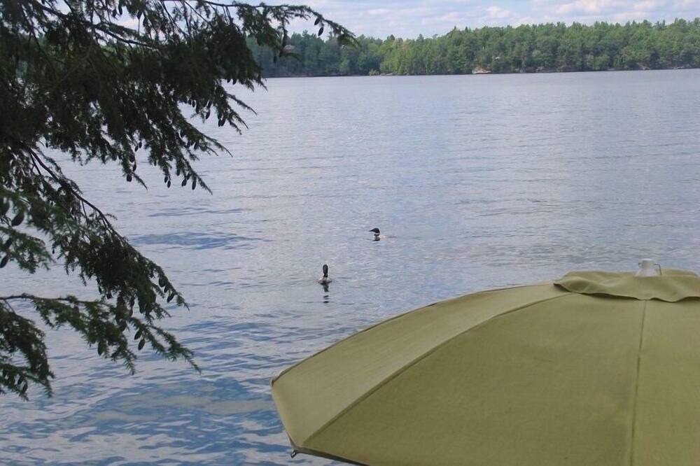 Photo of Others in Rideau Lakes