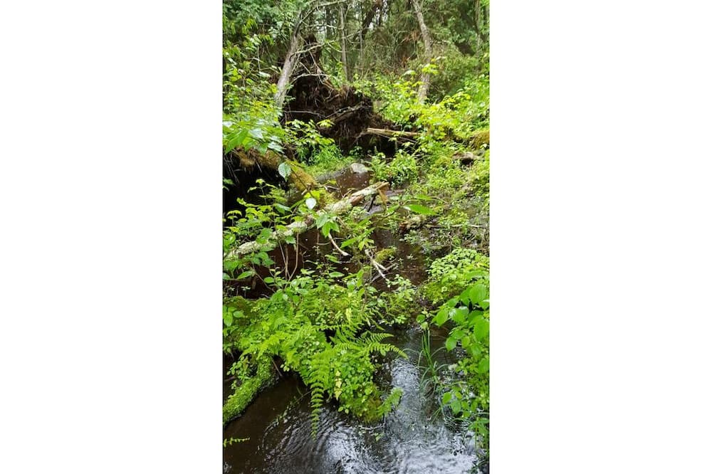 Photo of Outdoor in Tyendinaga