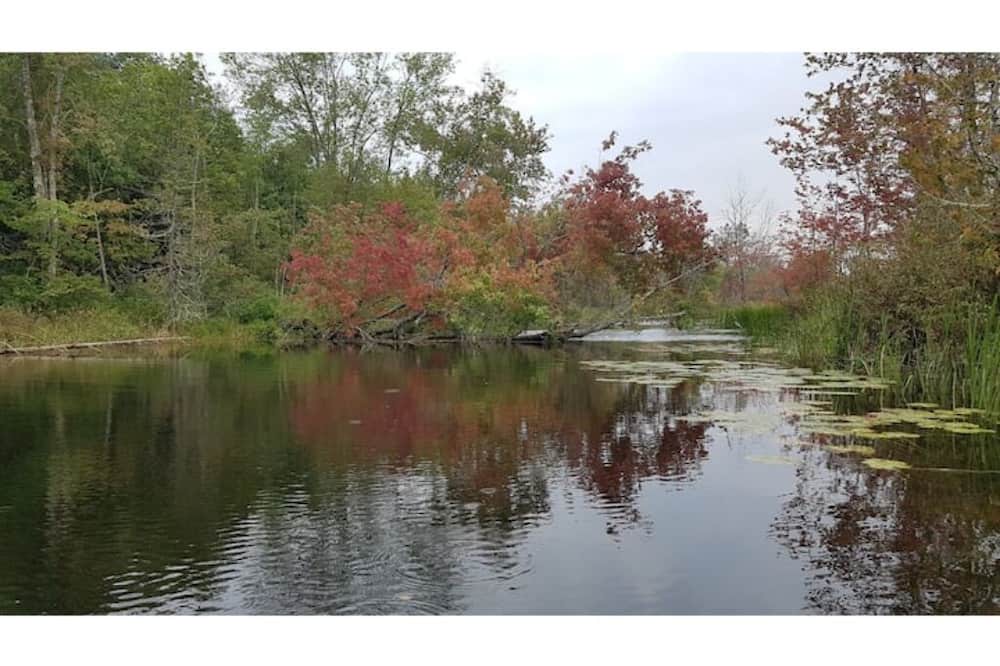Photo of Outdoor in Tyendinaga