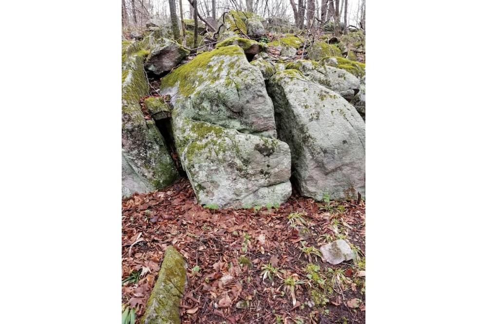 Photo of Outdoor in Tyendinaga
