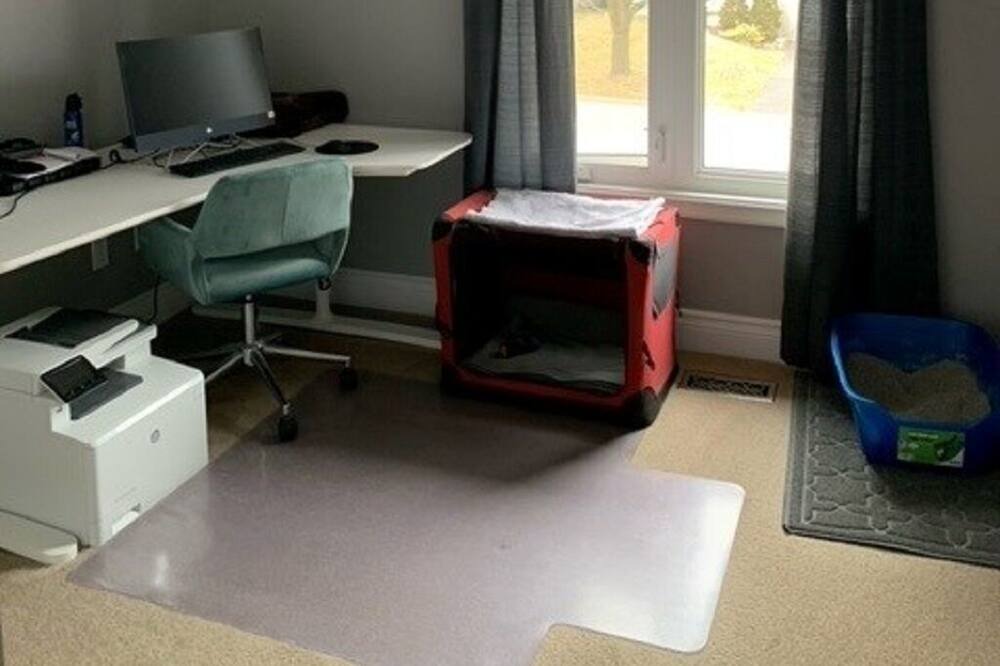 Photo of Bedroom in Courtice