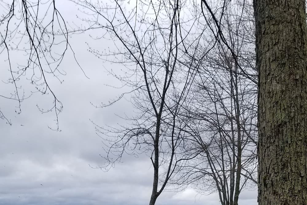 Photo of Outdoor in Bobcaygeon