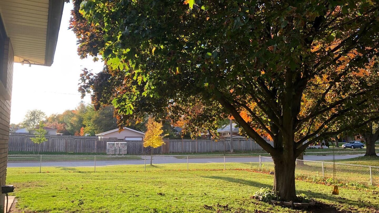Photo of Outdoor in Lambeth