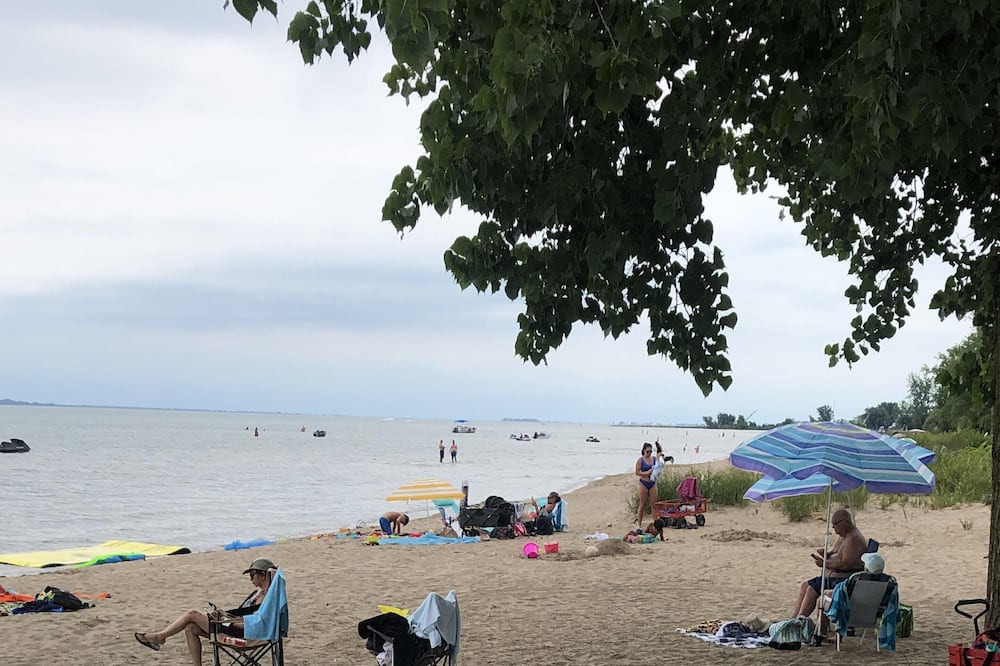 Photo of Others in Turkey Point