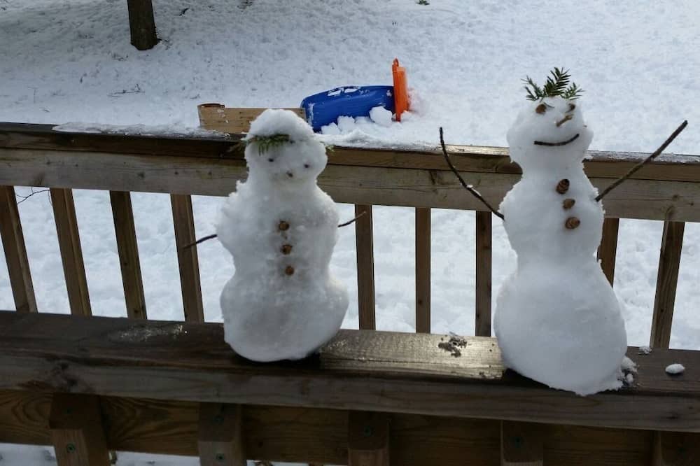 Photo of Outdoor in Selwyn