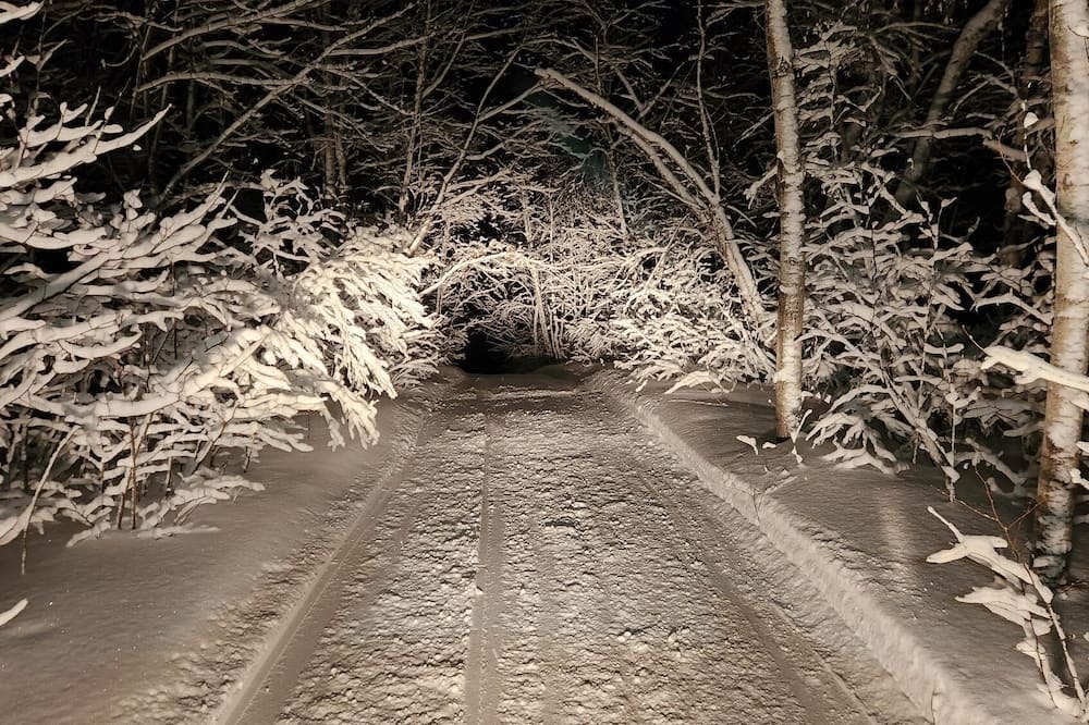 Photo of Outdoor in Naughton