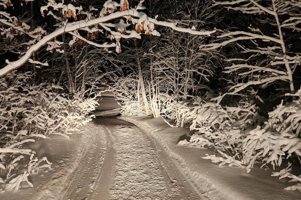 Photo of Others in Naughton