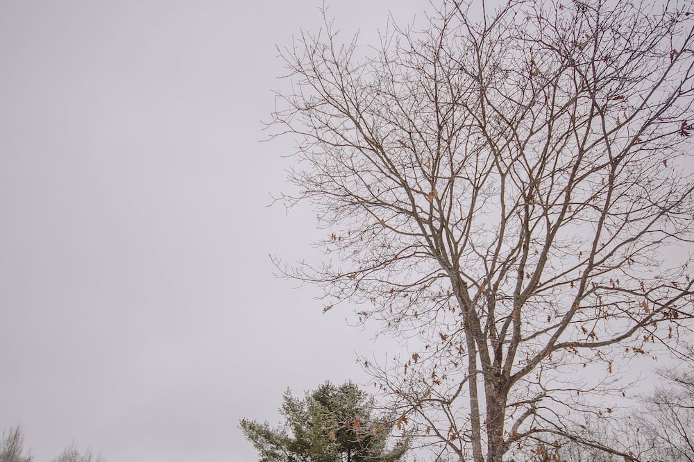 Photo of Others in Naughton