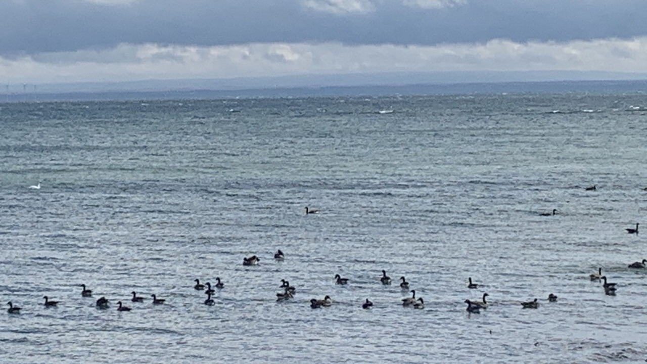 Photo of Outdoor in Sherkston