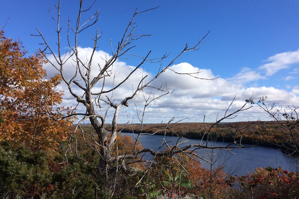 Photo of Others in North Frontenac