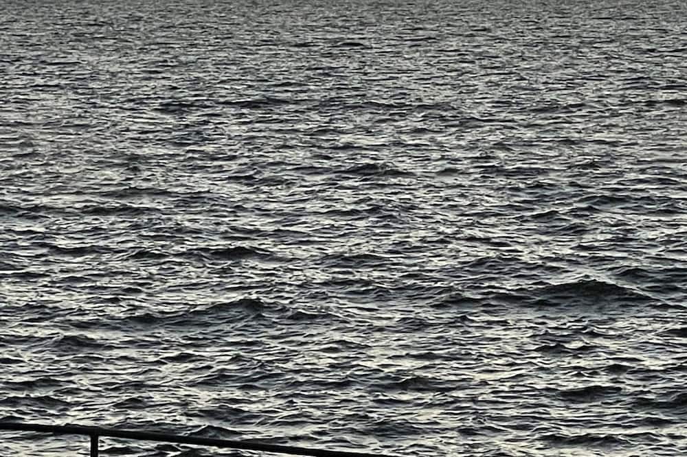 Photo of Others in Stoney Creek