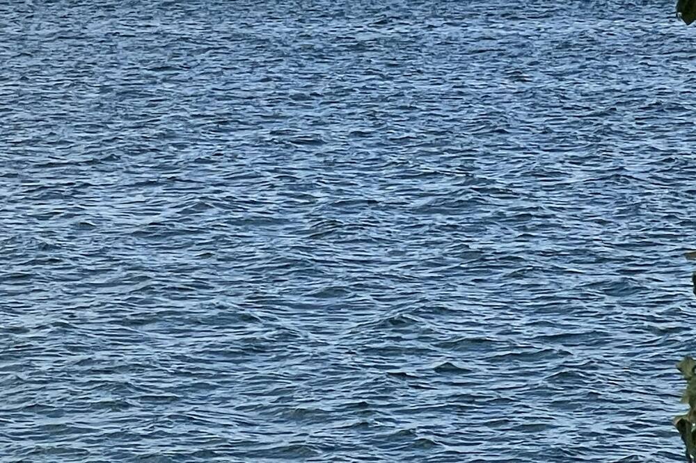 Photo of Others in Stoney Creek