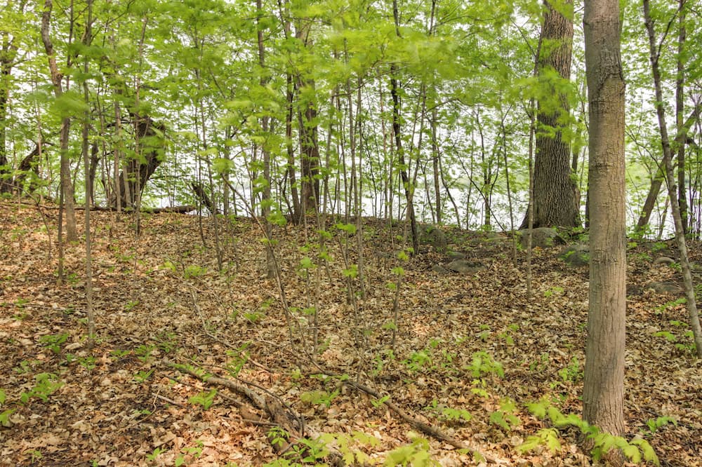 Photo of Others in Avon